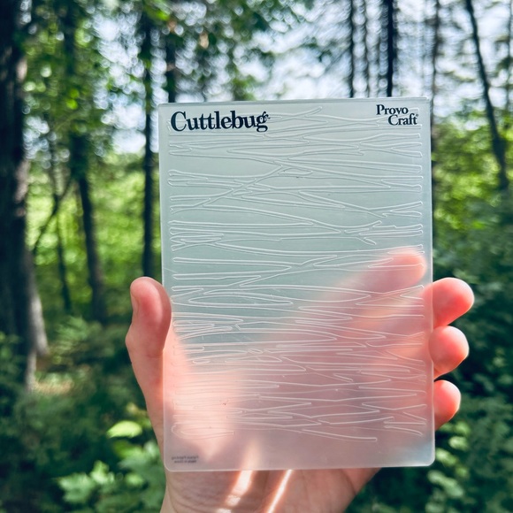 Provo Craft Cuttlebug Embossing Folder - Clear - Picture 1 of 3